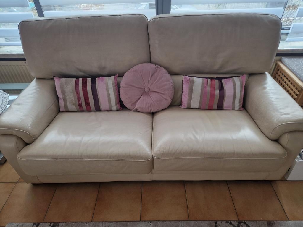 Salon des Châteaux d'Ax. Cuir de buffle. 1 place, 2 places,, Maison & Meubles, Enlèvement, Utilisé, Cuir, Modern