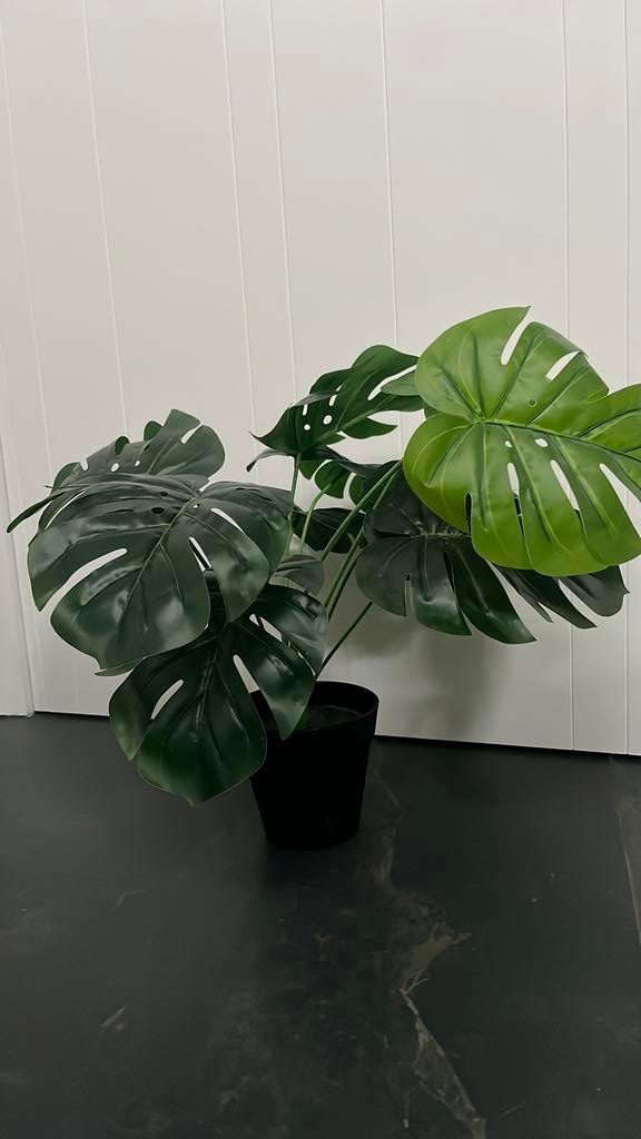 Plante artificielle monstera, Enlèvement ou Envoi, Comme neuf, Intérieur