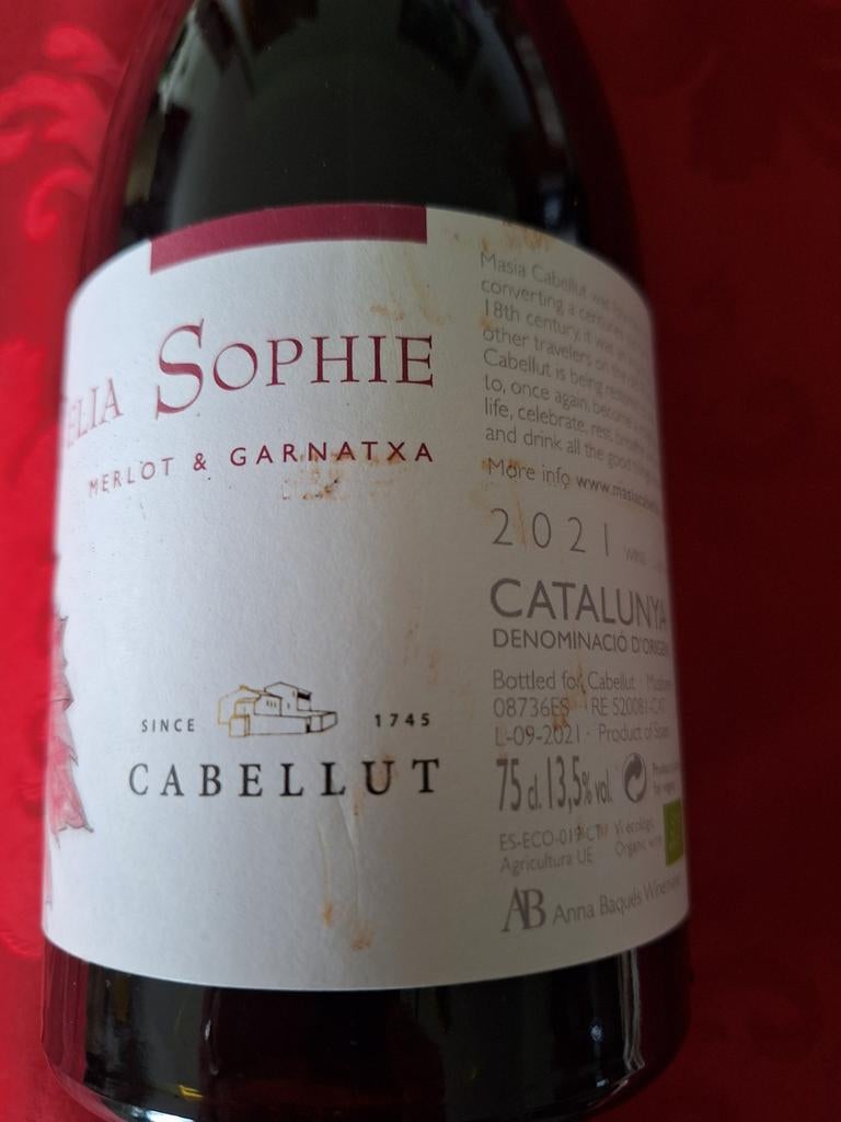 1 bouteille de vin espagnol Merlot et Garnatxa, 2021, Collections, Vins, Neuf, Pleine, Enlèvement, Vin rouge