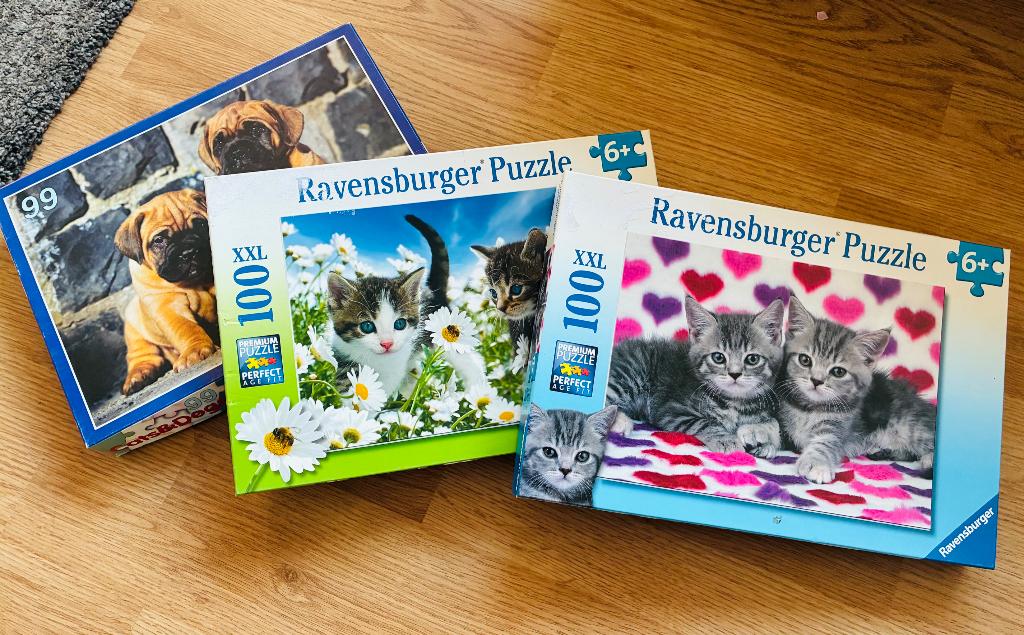 Puzzels 100 st, Enlèvement, Plus de 50 pièces, Utilisé, 6 ans ou plus