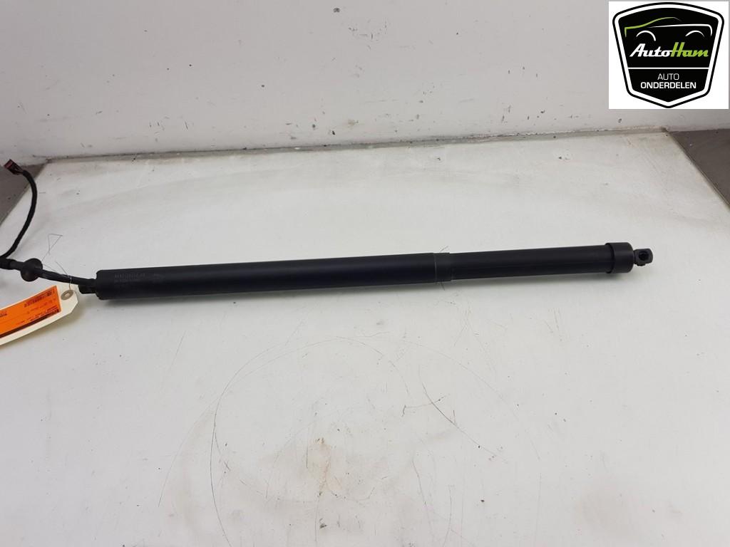 MOTEUR DE HAYON Jaguar F-Pace (01-2015/12-2025), Utilisé, Jaguar, Haillon arrière