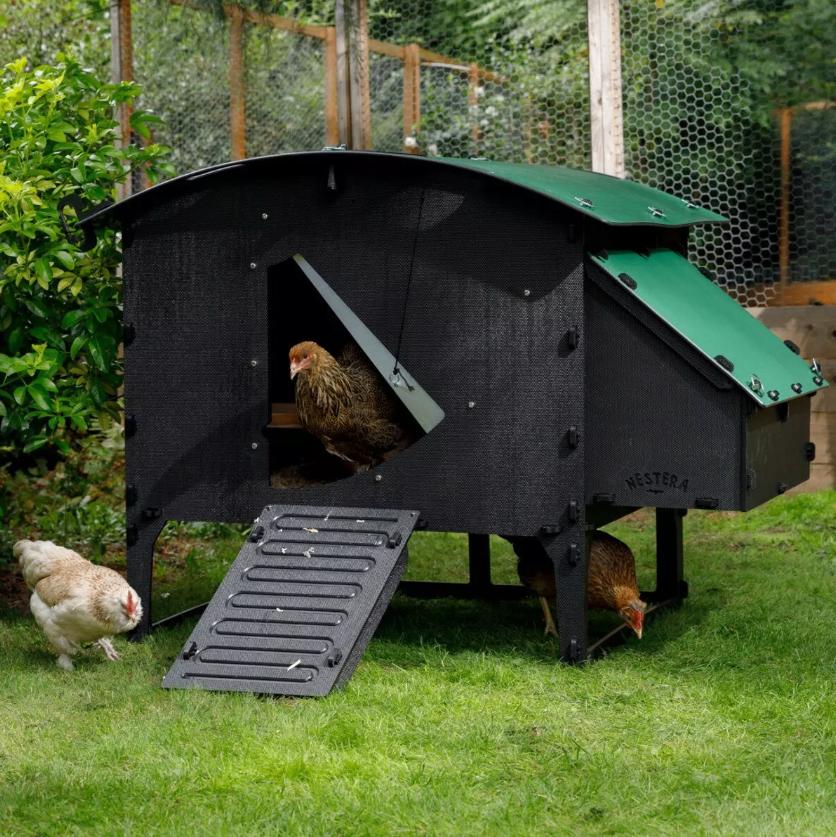 Nestera The Lodge L (8-15 kippen), Enlèvement ou Envoi, Neuf, Poulailler