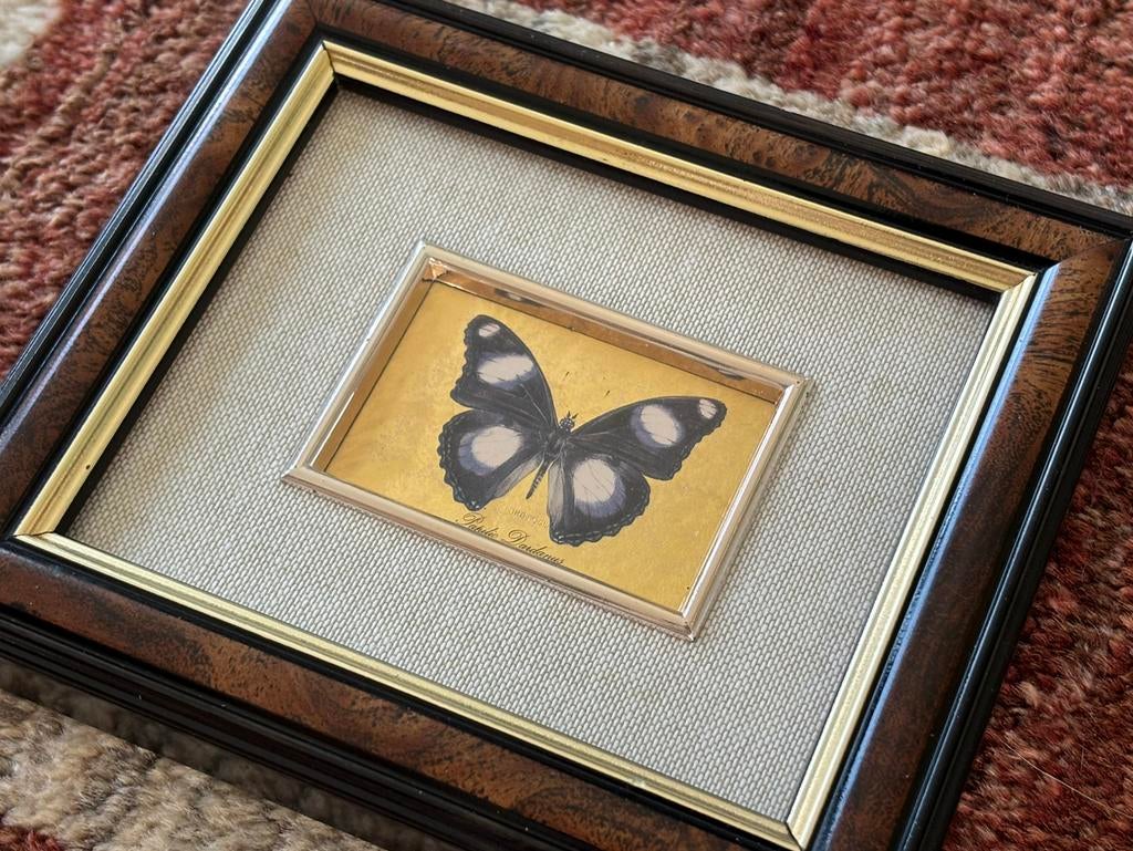 Impression vintage sur cadre papillon sur feuille d'or, Antiquités & Art, Enlèvement ou Envoi