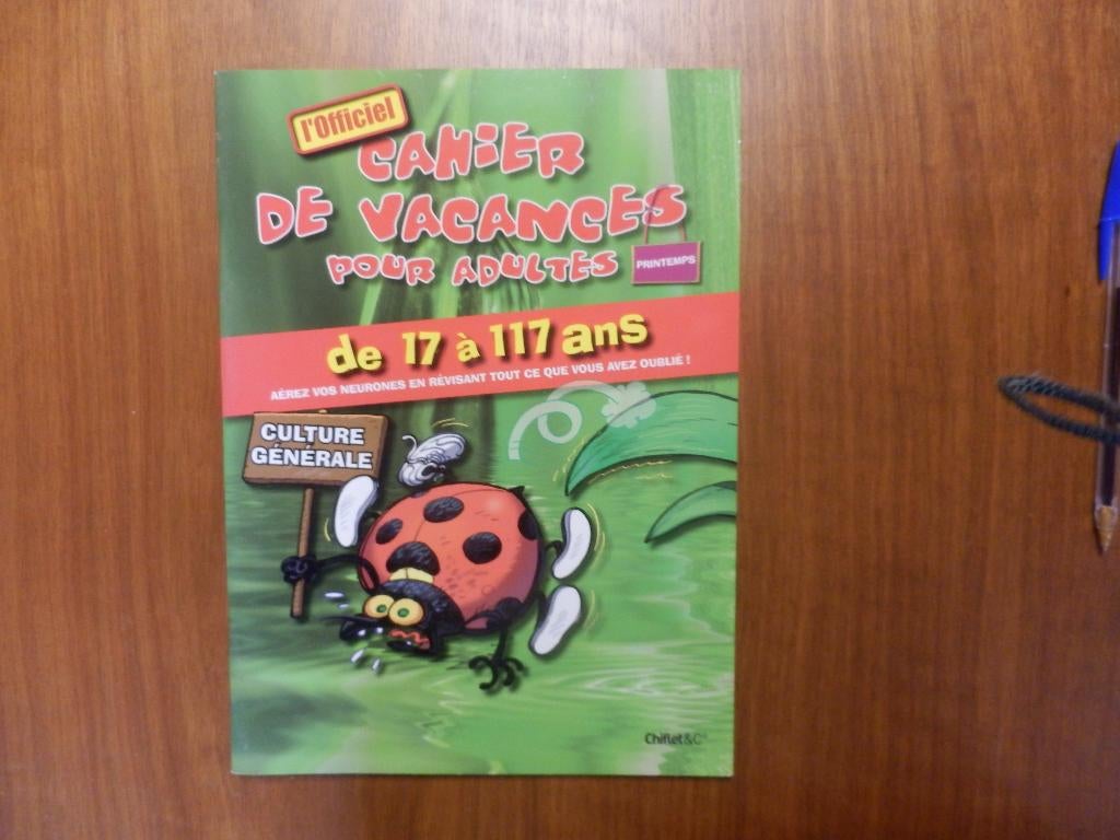 (97) -Cahier De Vacances Pour Adultes De 17 A 117 Ans  neuf, Boeken, Hobby en Vrije tijd, Nieuw, Overige onderwerpen, Geschikt voor kinderen