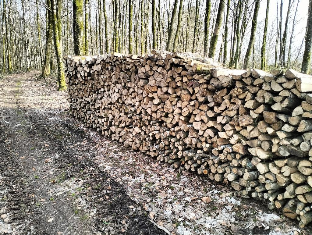 Bois de chauffage, 6 m³ ou plus, Enlèvement, Autres essences de bois, Bûches