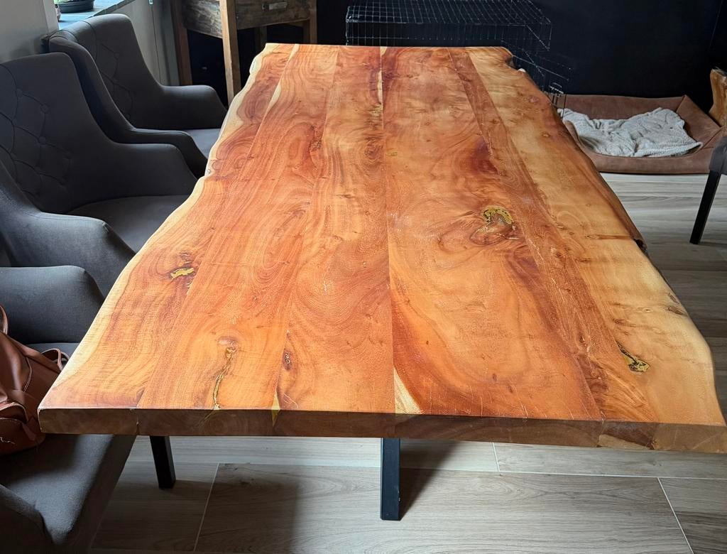 Mooi en stevig boomstam blad, Ophalen, Zo goed als nieuw