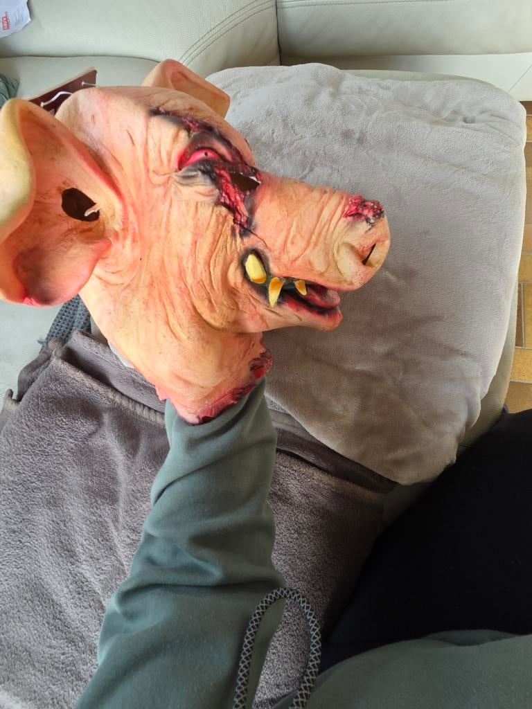 Carnaval masker varken, Ophalen