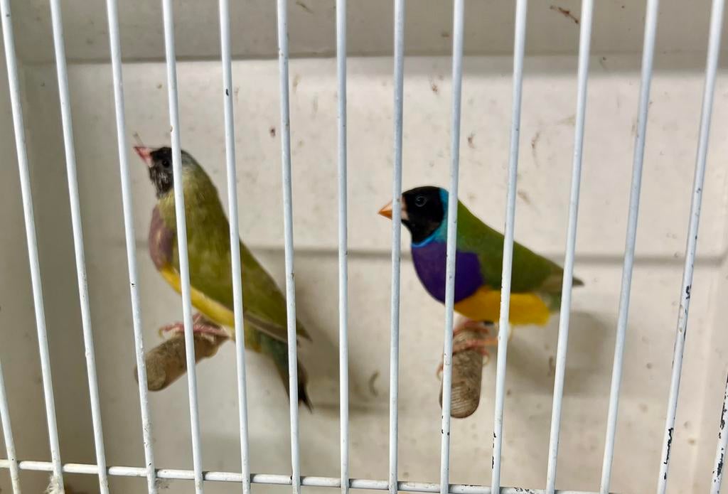 Gr.zk. pb. Man bide Van september 23