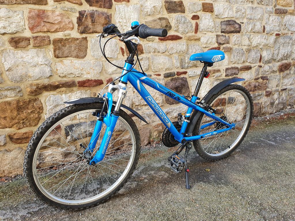 Vélo enfant DIAMOND 24", Vélos & Vélomoteurs, Vélos | Vélos pour enfant, Enlèvement, Utilisé, 20 pouces ou plus