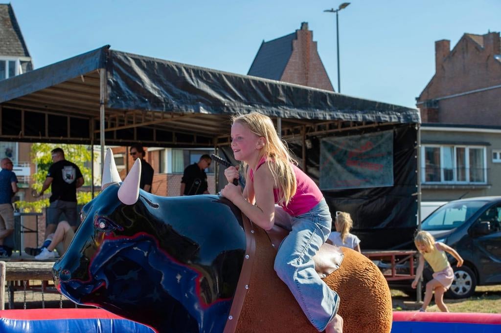 RODEO STIER  MECHANISCHE  en USA RODEO BULL, Créatif ou Éducatif