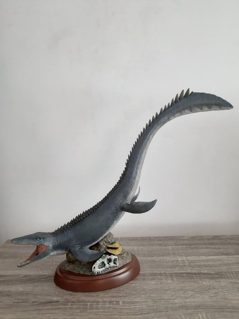 Nanmu mosasaurus, Ophalen