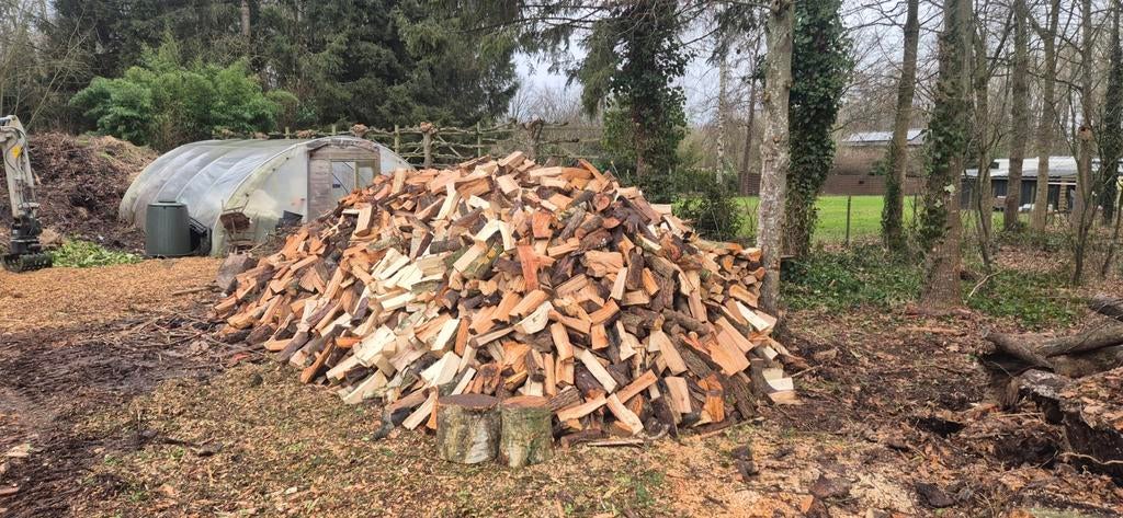Brandhout te koop, Tuin en Terras, Brandhout, Ophalen