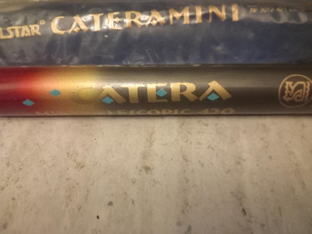 Canne a peche[4m20], Enlèvement ou Envoi, Utilisé