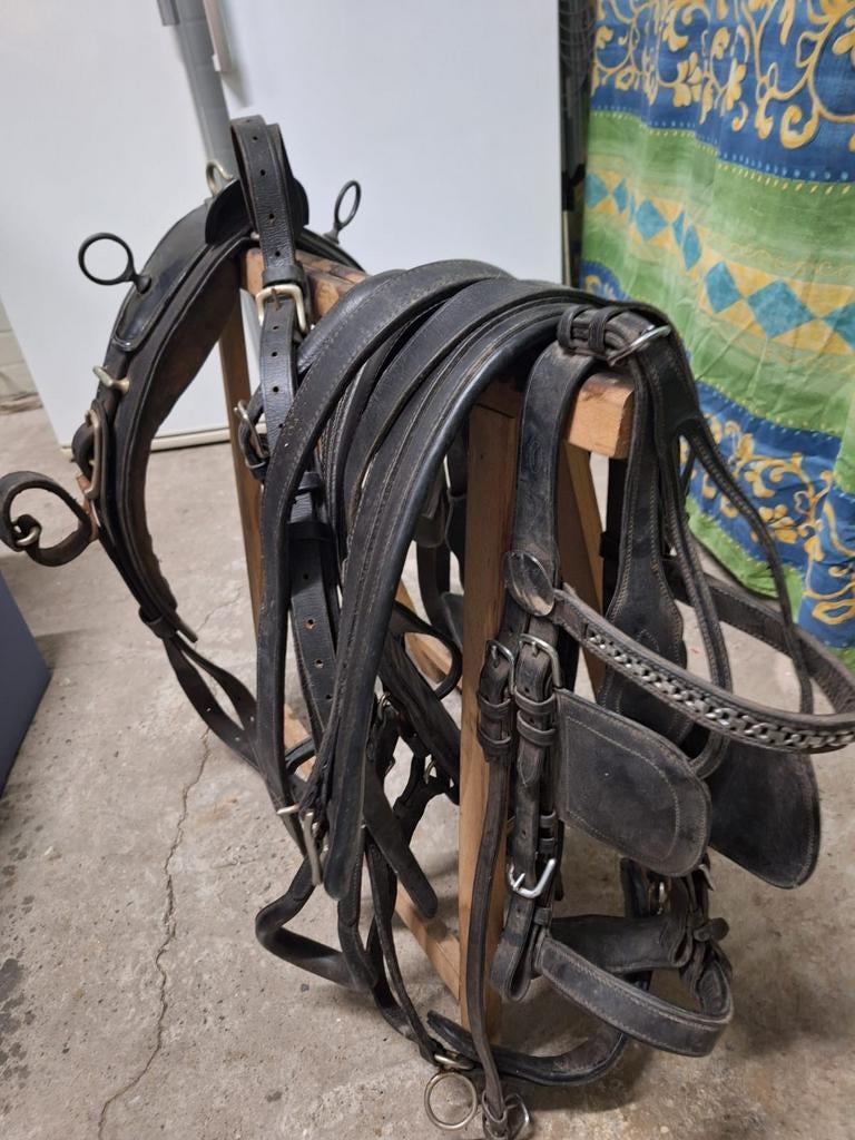 Tuig voor grote pony incl hoofdstel, Dieren en Toebehoren, Ophalen