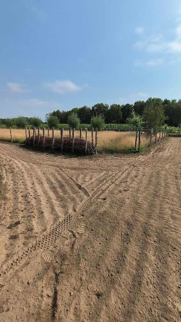 Weide - Paddock paradise - Equihabitat te koop, Dieren en Toebehoren, Stalling en Weidegang, Opfok, Stalling, Weidegang, 4 paarden of pony's of meer