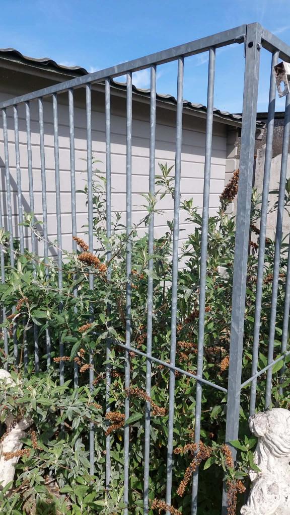 Hondenkennel, hondenhok, kennelpanelen, Ophalen, 100 cm of meer, Hondenhok, 110 cm of meer