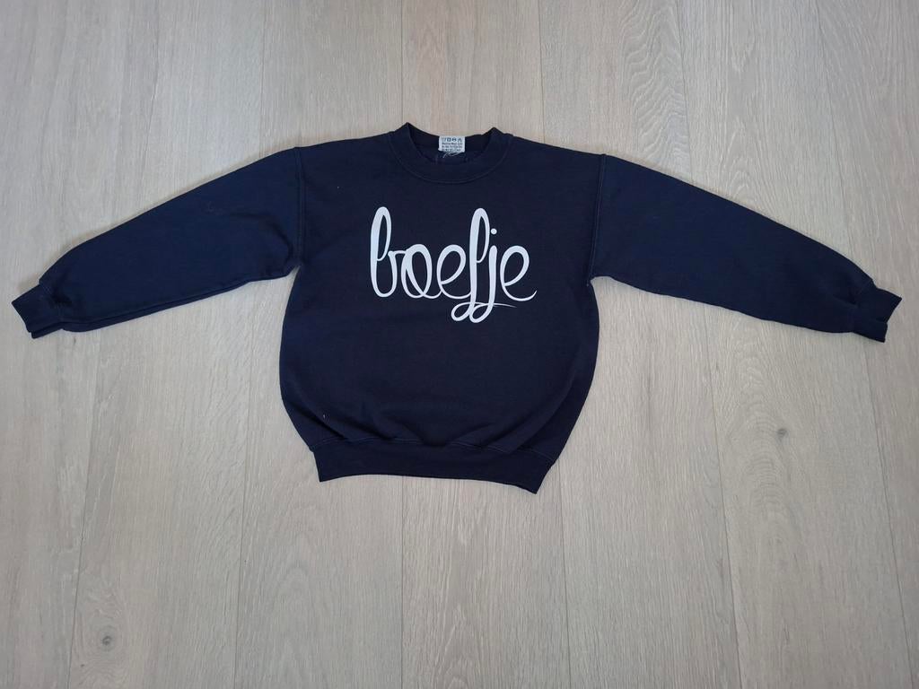 M134/140: trui boefje, Kinderen en Baby's, Kinderkleding | Maat 134, Ophalen of Verzenden, Zo goed als nieuw, Jongen, Trui of Vest