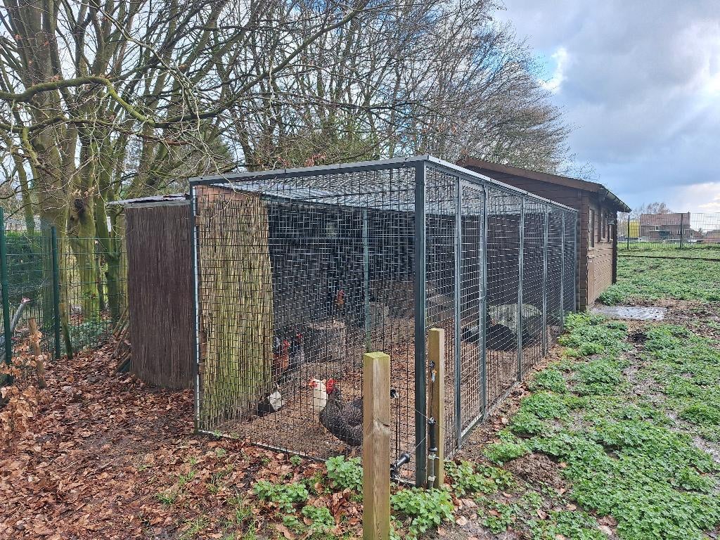 Kippenren, Ophalen, Zo goed als nieuw, Kippenhok of Kippenren