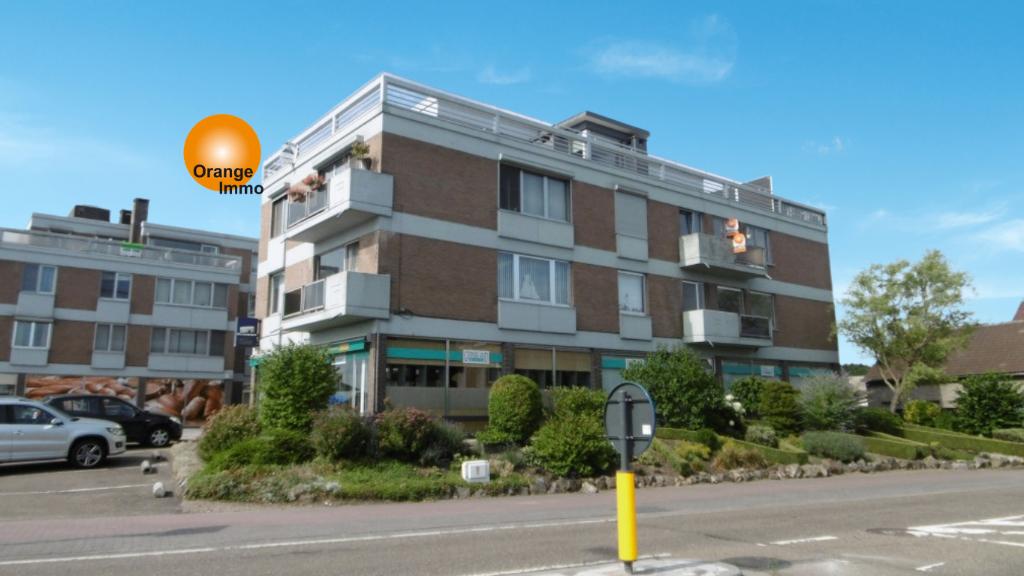 Gerenoveerd appt met een ondergrondse autostaanplaats., Immo, Tot 200 m², 243 kWh/m²/jaar, 2 kamers, Provincie Luxemburg