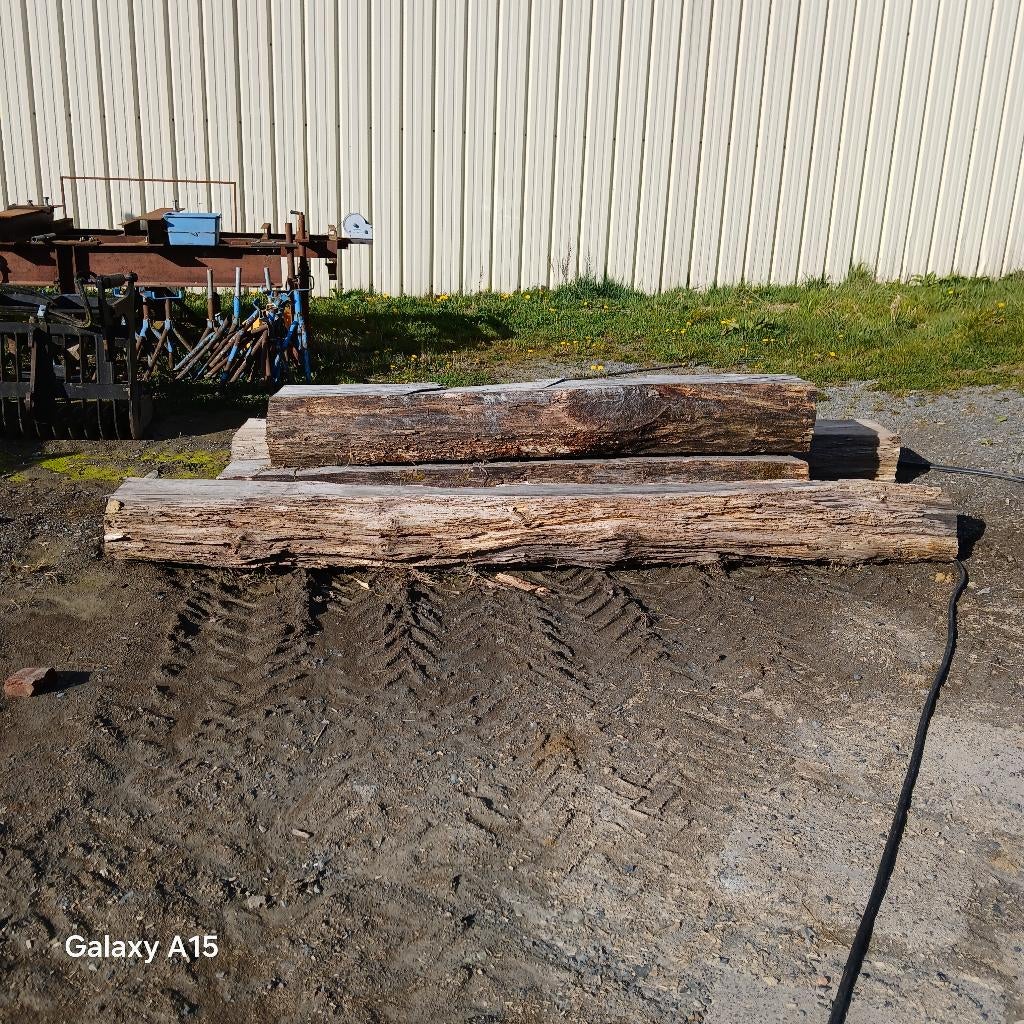 OUDE EIKEN STAMMEN, Doe-het-zelf en Bouw, Hout en Planken, Gebruikt, Eiken, 300 cm of meer, 50 mm of meer, Ophalen of Verzenden