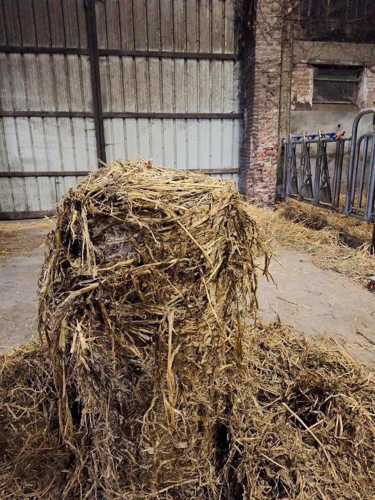 Soedangras, Zakelijke goederen, Ophalen