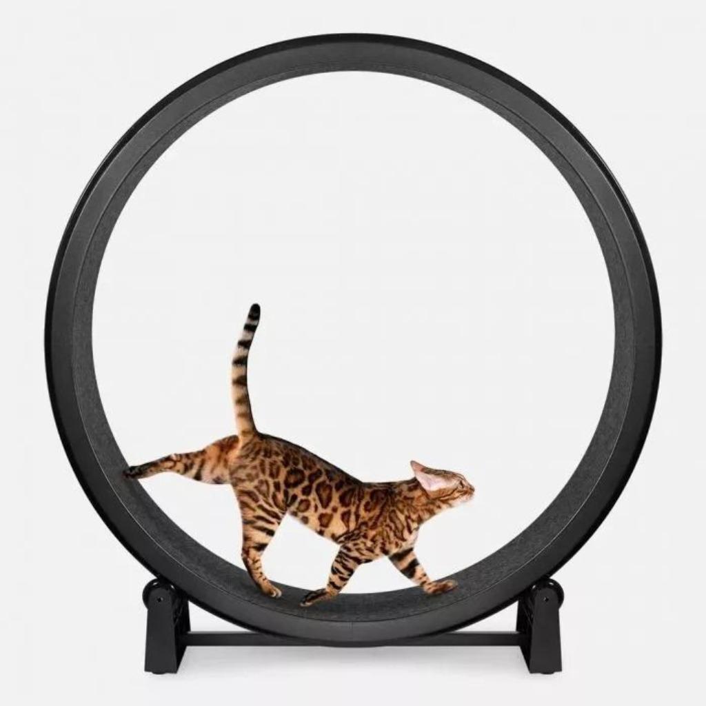 Roue de course fantastique pour chat 122 cm, Animaux & Accessoires, Enlèvement, Comme neuf, Autres jouets
