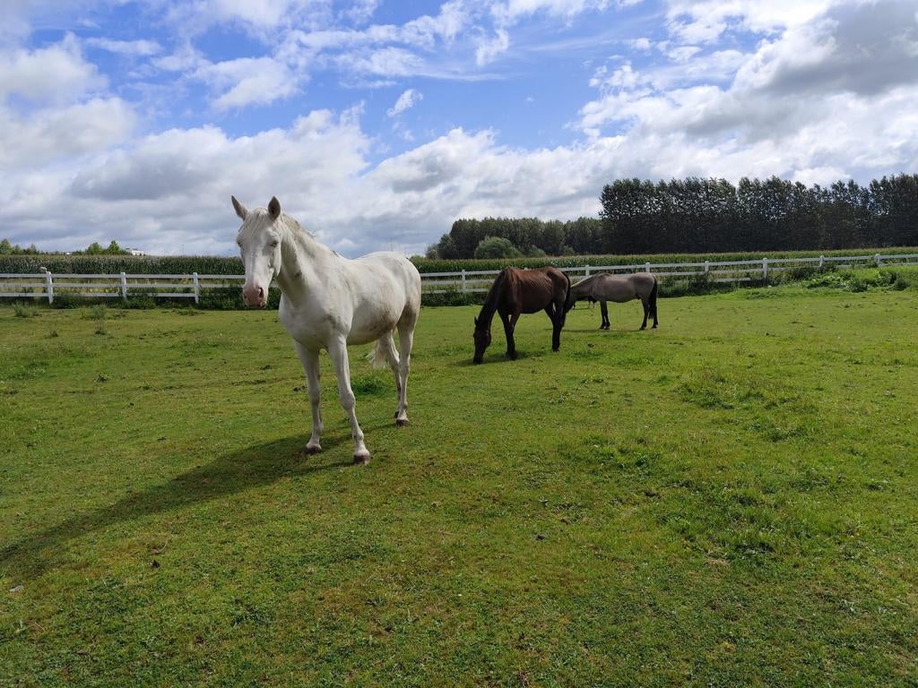 zzp on weekends, Vacatures