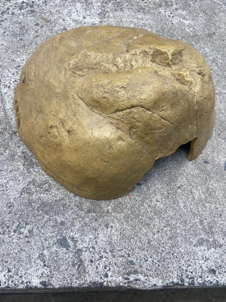 Abri serpent Pogona lézard exoterra, Enlèvement, Comme neuf, Terrarium ou Paludarium