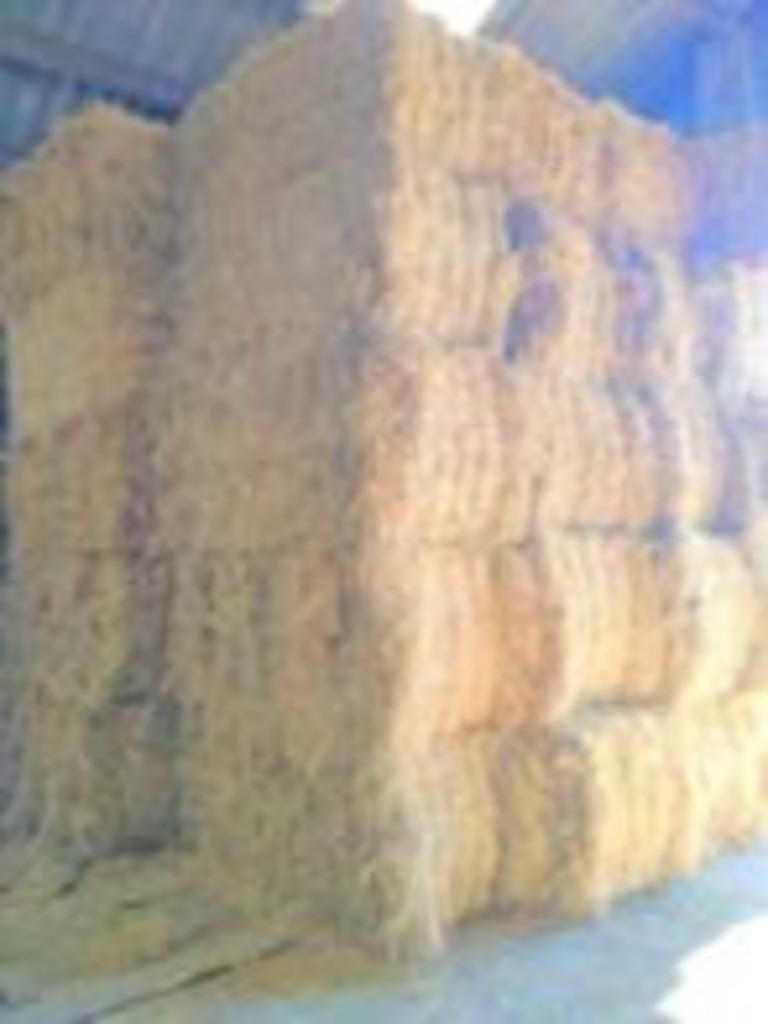 grote rechthoekige balen droog hooi ~80/90/180, Ophalen of Verzenden