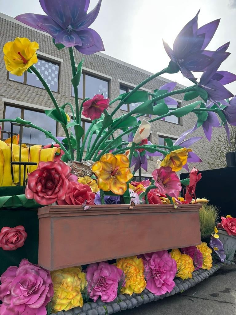 Carnavalswagen, Hobby & Loisirs créatifs, Articles de fête, Enlèvement