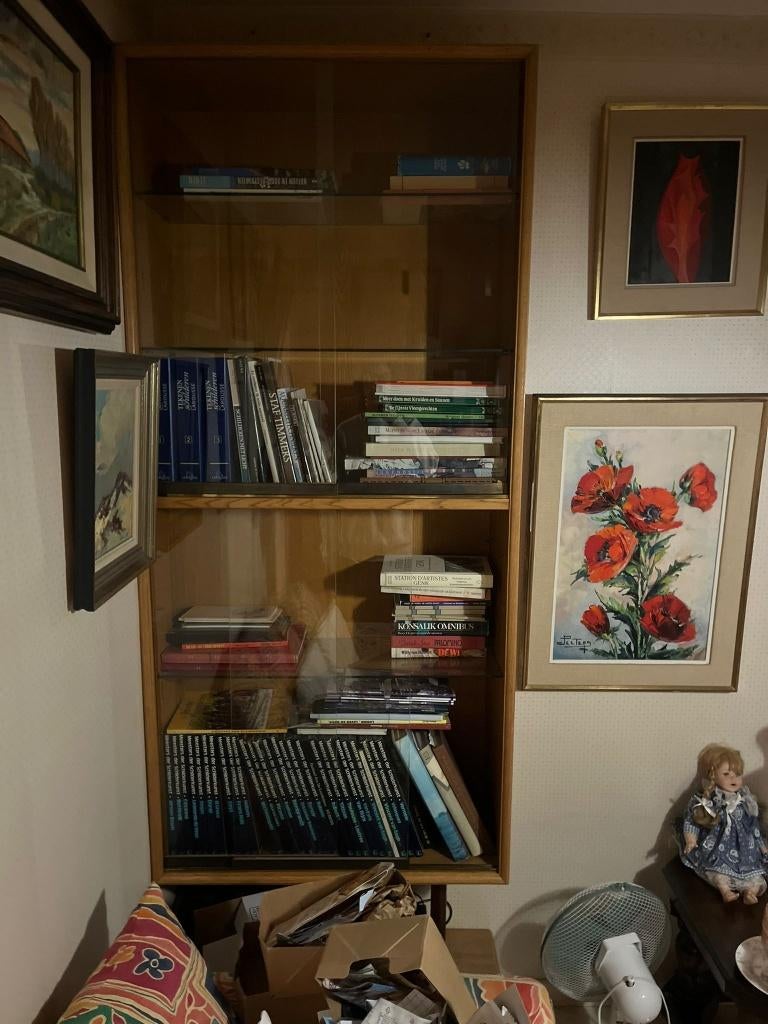 vitrinekast vintage, Ophalen, Glas, Gebruikt, 50 tot 100 cm