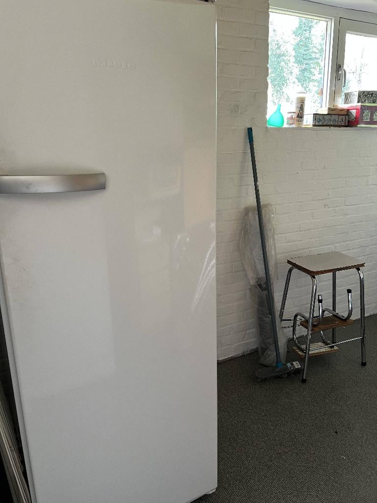 miele F4652 S - vrijstaande diepvries, Ophalen, Gebruikt, 200 liter of meer, 160 cm of meer