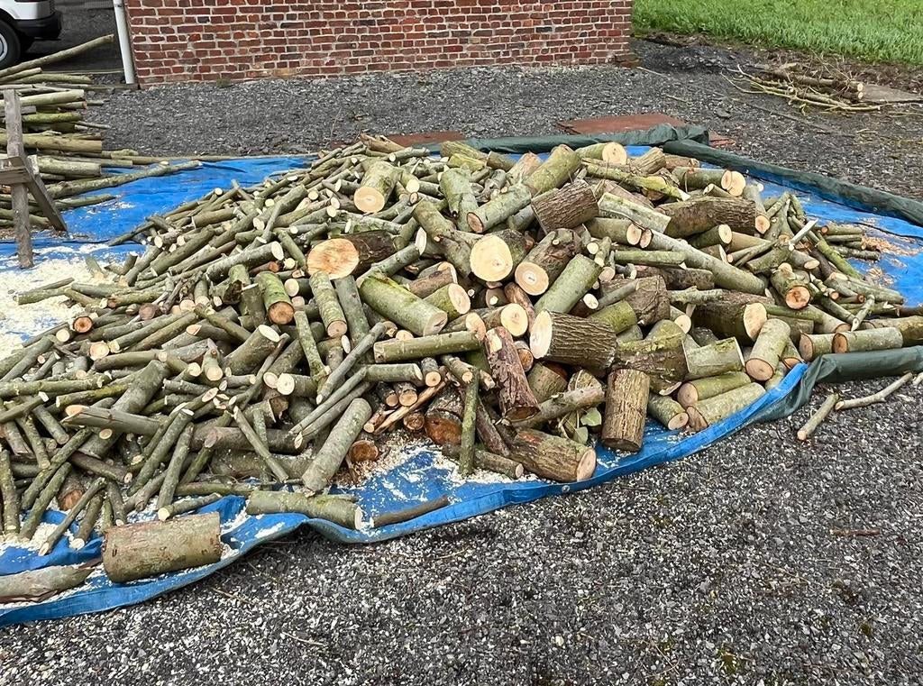 Bois de chauffage 33 cm, 6 m³ ou plus, Enlèvement, Bouleau, Bûches