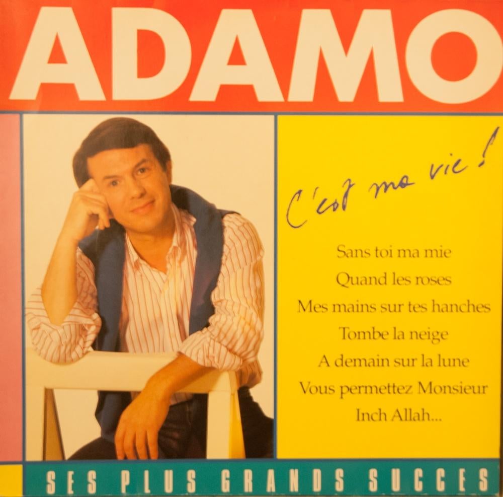 LP Adamo C,est Ma Vie_1989, CD & DVD, Enlèvement ou Envoi, Comme neuf, 12 pouces