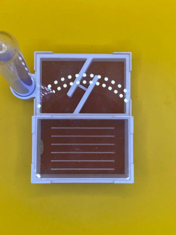 Nid à fourmis imprimé en 3D avec base en plâtre, Animaux & Accessoires, Insectes & Araignées, Fourmis