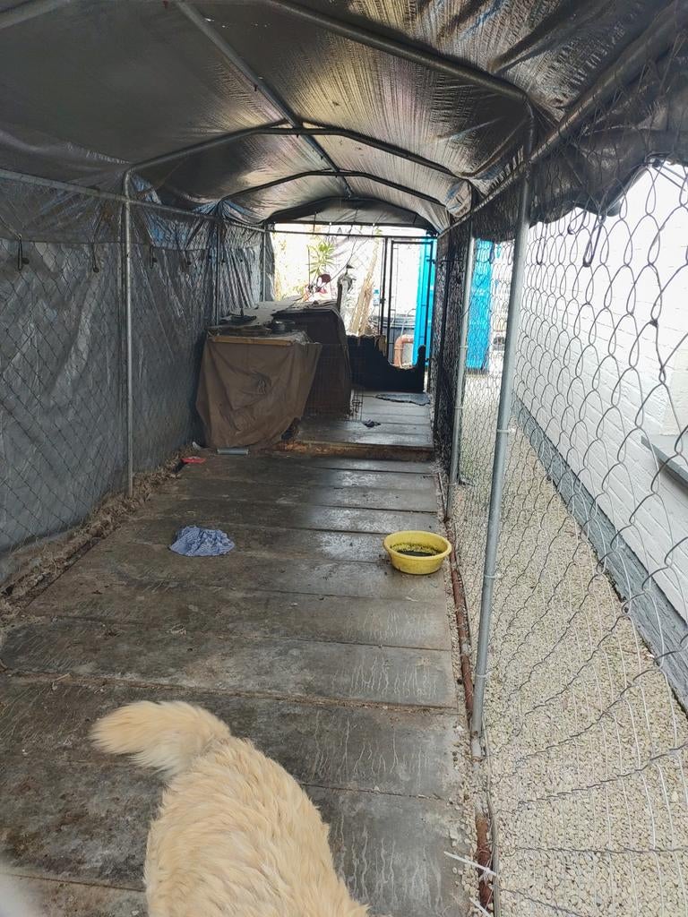 Parc pour chiens à vendre, Animaux & Accessoires, Enlèvement, Niche à chien