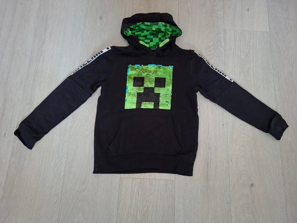 M134/140 : trui minecraft, Kinderen en Baby's, Kinderkleding | Maat 134, Ophalen of Verzenden, Jongen, Trui of Vest