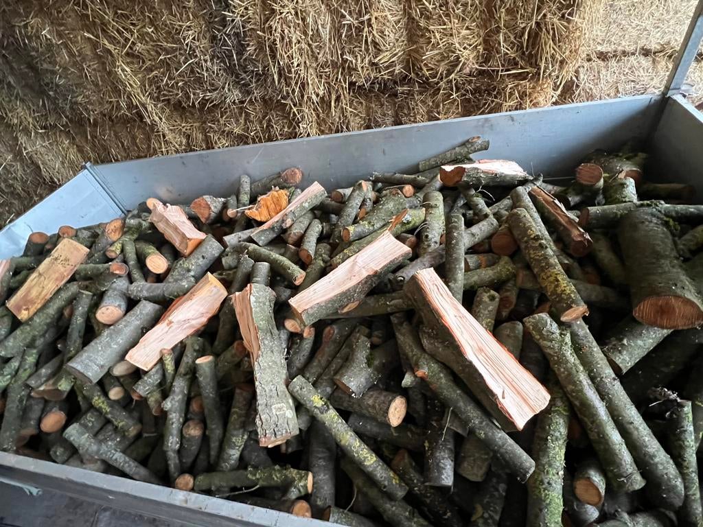 2,5m3 de Bois de chauffage fendu taille 35 à 50cm, Jardin & Terrasse, Bois de chauffage, Moins de 3 m³, Enlèvement, Aulne, Bûches