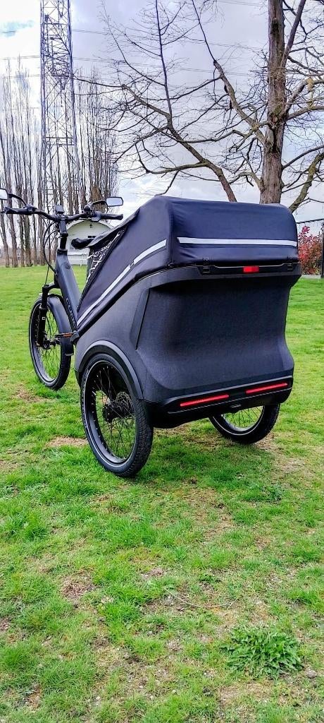 Cube trike cargo, Fietsen en Brommers, Fietsen | Bakfietsen, Goederen, Ophalen, Overige merken, Nieuw