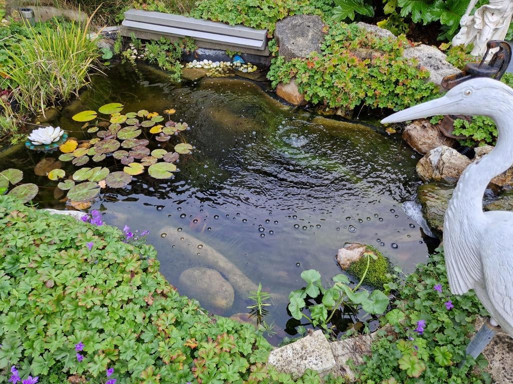 Vijver polyester 1500liter SUPERCOMPLEET, Ophalen