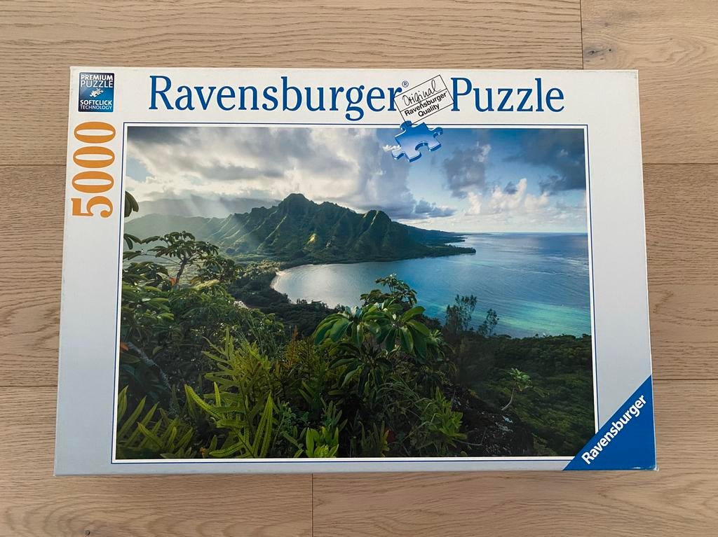 Puzzel 5000 stukjes - Ravensburger, Enlèvement, Comme neuf