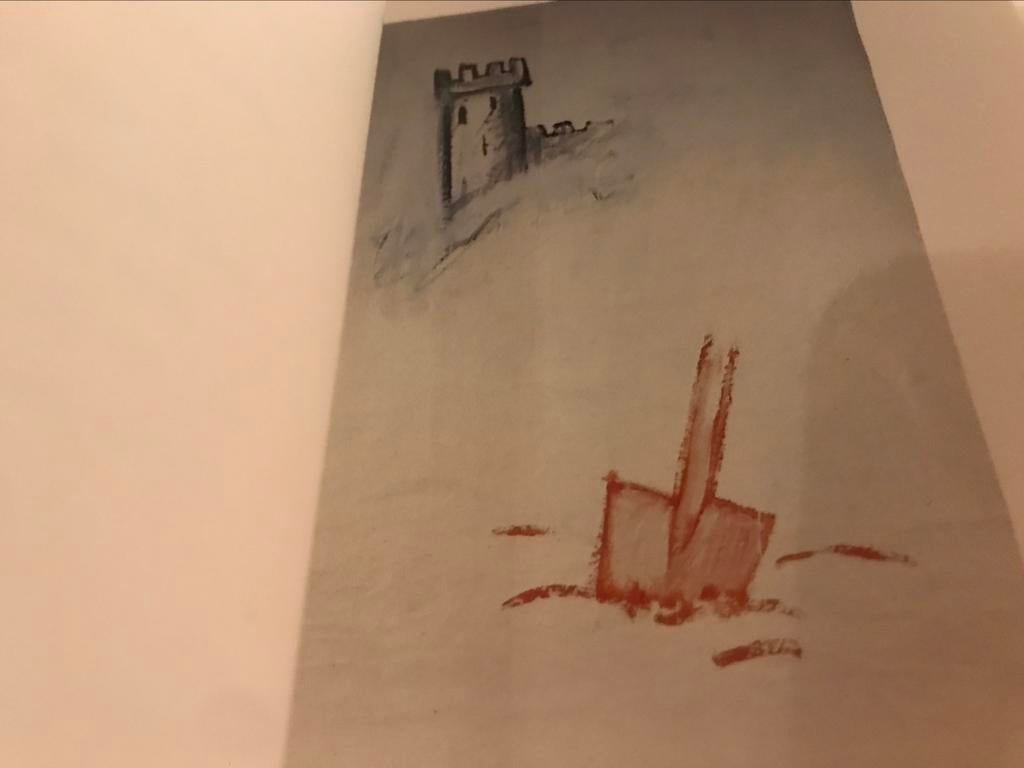 Peintures de Walter Swennen 80 pages, Livres, Art & Culture | Arts plastiques, Enlèvement ou Envoi, Comme neuf, Peinture et dessin