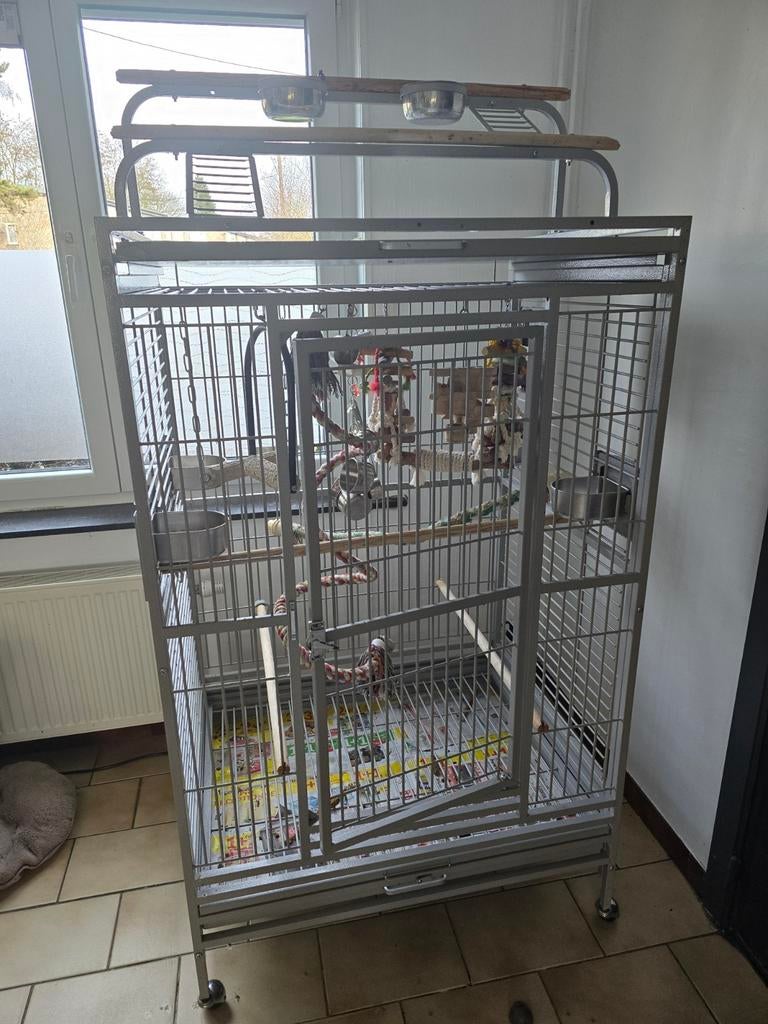 Grande cage 90/70 perroquets  neuf, Animaux & Accessoires, Oiseaux | Cages & Volières, Enlèvement