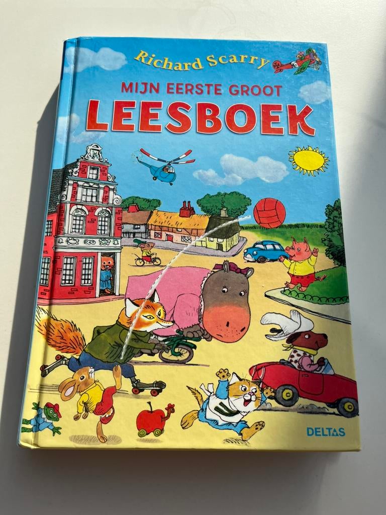 Richard Scarry - Mijn eerste groot leesboek, Boeken, Ophalen of Verzenden, Zo goed als nieuw, Richard Scarry