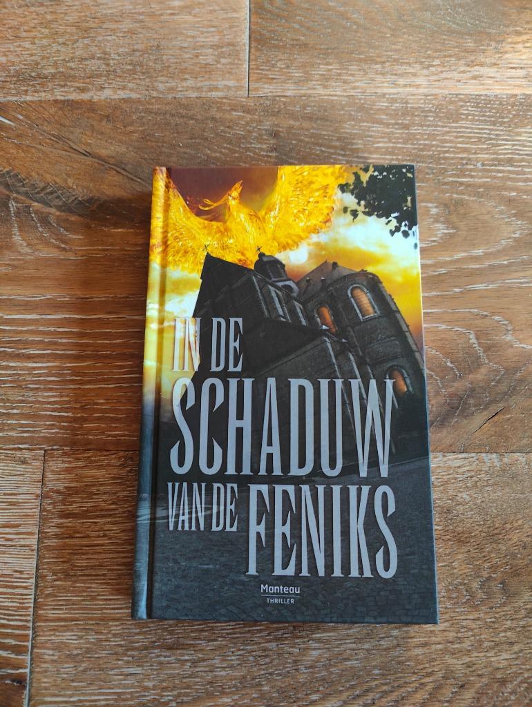Thriller À l'ombre du phénix/Dans l'ombre du phénix, Enlèvement ou Envoi, Comme neuf