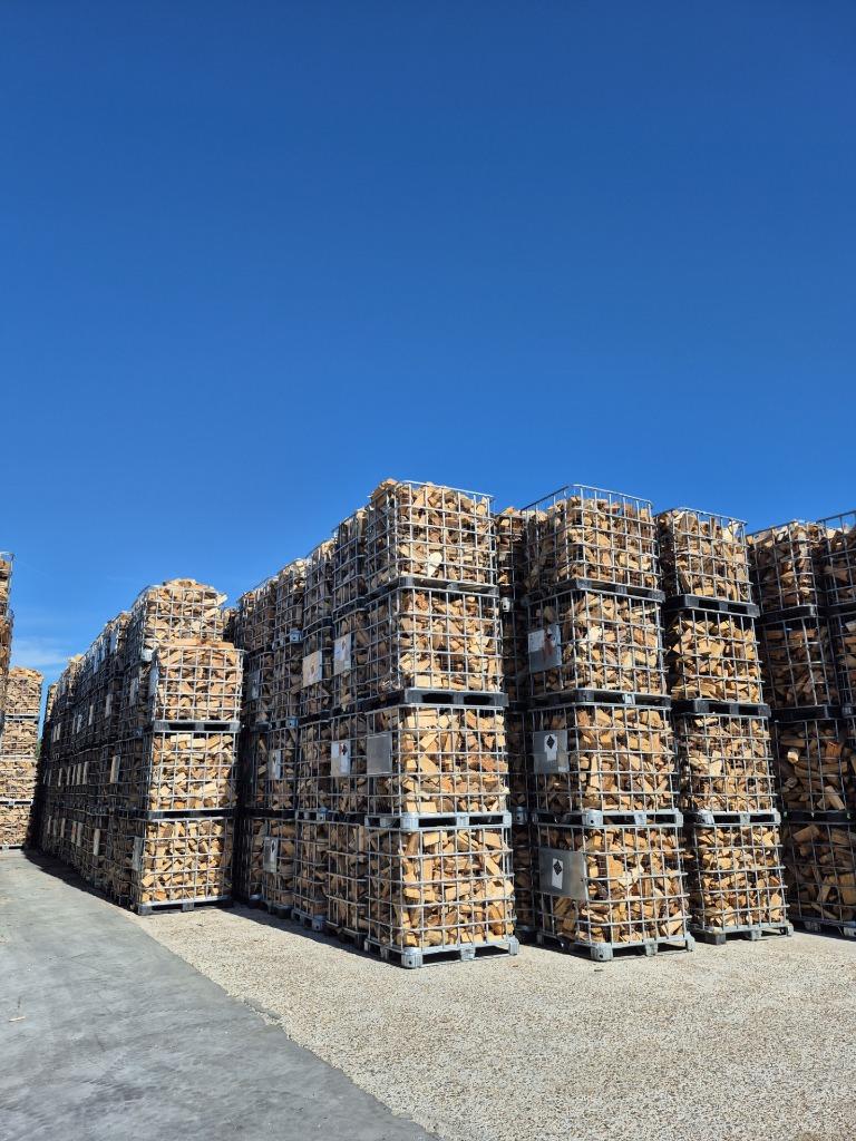 BRANDHOUT Eik en Beuk uit de stam, Ophalen of Verzenden