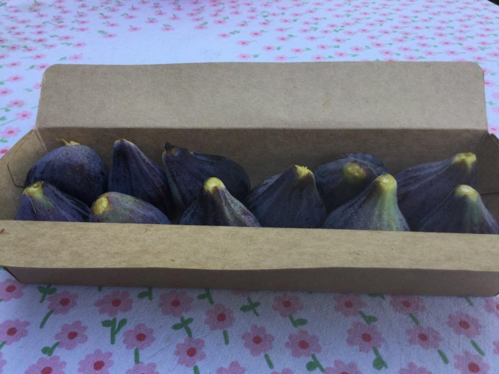 figues fraîches bio à vendre dans votre propre jardin, Enlèvement