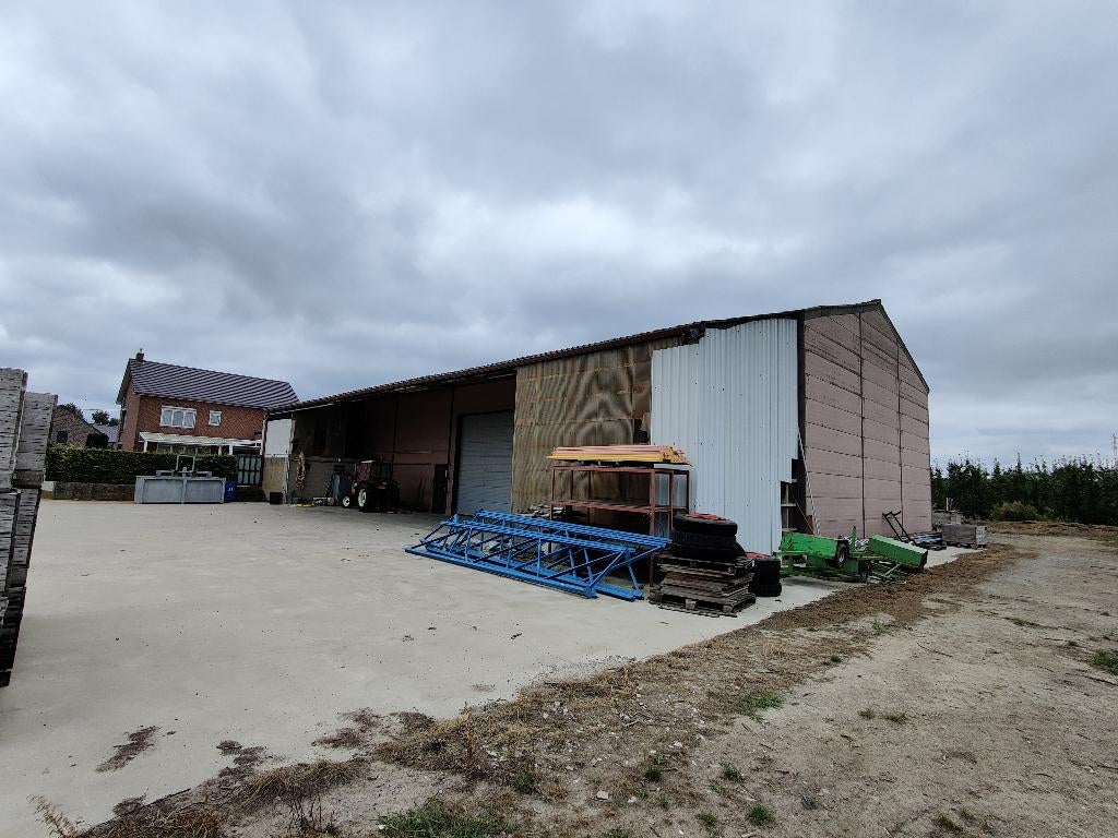 Magazijn met koelcellen ULO met aanliggende perenboomgaard, Immo, Terrains & Terrains à bâtir, Tongeren-Borgloon, Ventes sans courtier
