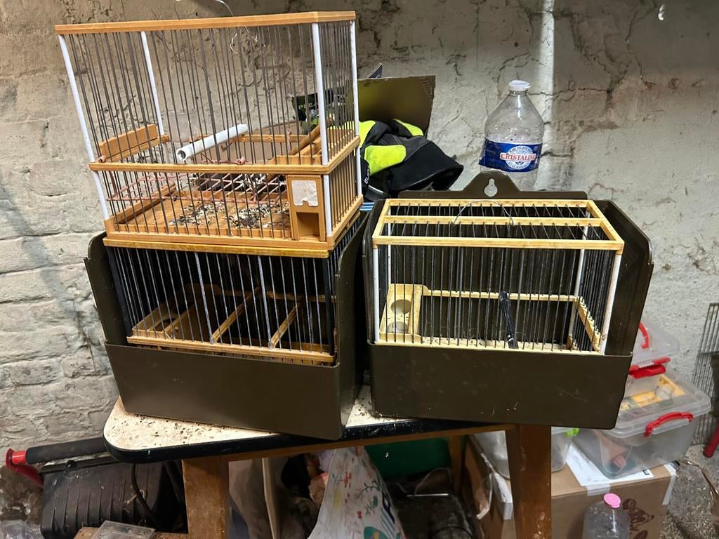 cage espagnol et algériens avec accessoires, Enlèvement ou Envoi, Comme neuf