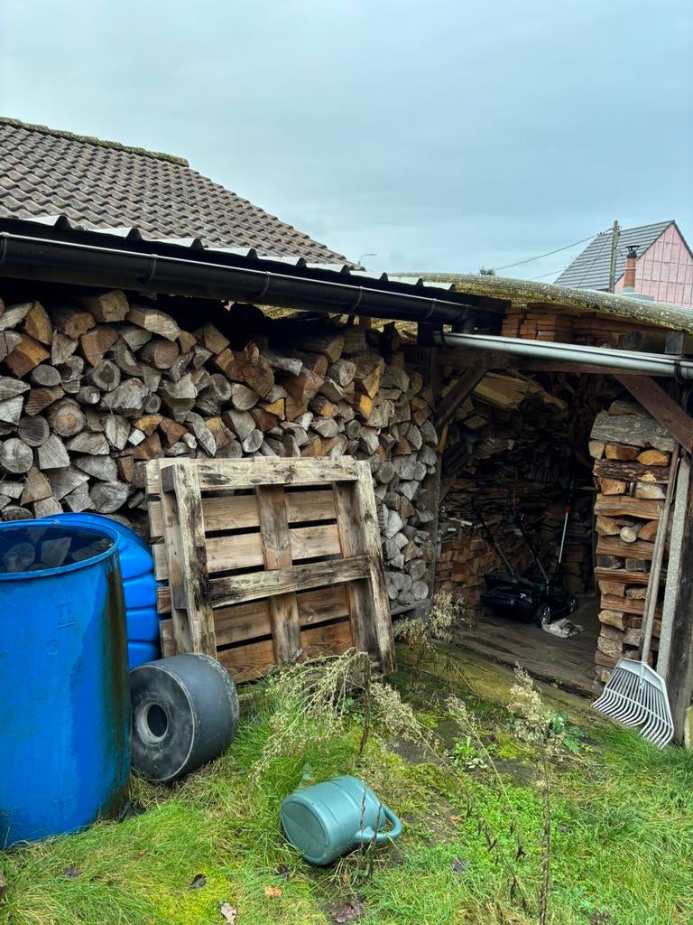 Droog brandhout te koop, Enlèvement, Bûches